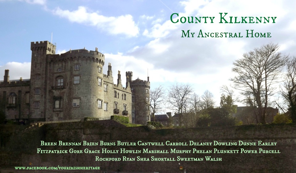 County Kilkenny Surnames A Letter From Ireland